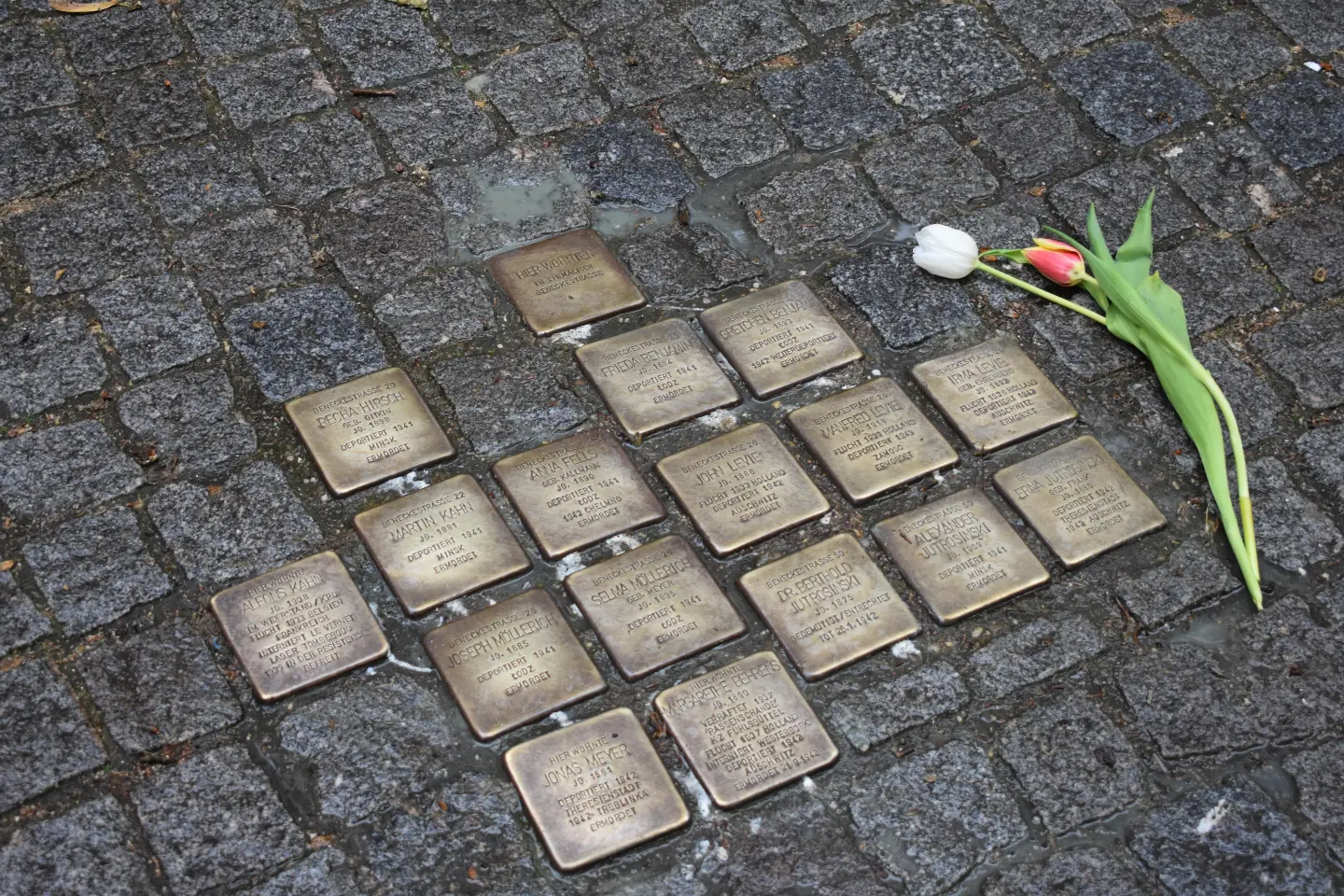 Mobitour zum 8. Mai!